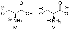 Which of the following is the predominant form of serine at physiological pH?     A)  I B)  II C)  III D)  IV E)  V