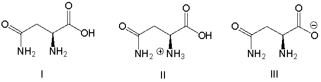 Which of the following is the predominant form of asparagine at physiological pH?     A)  I B)  II C)  III D)  IV E)  V