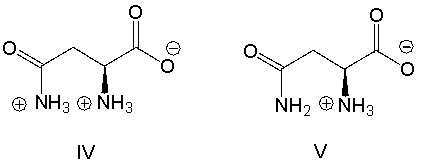 Which of the following is the predominant form of asparagine at physiological pH?     A)  I B)  II C)  III D)  IV E)  V