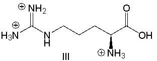 Which of the following is the predominant form of arginine at pH 2?       A)  I B)  II C)  III D)  IV E)  V