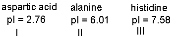 <strong>Which of the following amino acids will move the farthest when subjected to electrophoresis at pH 7? </strong> A) I B) II C) III D) II and III E) none of these