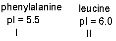 Provide the structure of the predominant form of the following amino acids at pH 6 and predict the migration towards anode or cathode during electrophoresis.  