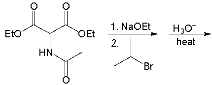 <strong>Which amino acid is produced from the following reaction sequence? </strong> A) alanine B) valine C) leucine D) isoleucine E) none of these