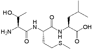 What is the correct sequence of amino acids for the following tripeptide?   A)  Ser-Met-Ile B)  Ser-Cys-Ile C)  Thr-Met-Leu D)  Thr-Cys-Leu E)  Ile-Met-Thr