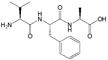 What is the correct sequence of amino acids for the following tripeptide?   A)  Leu-Phe-Ala B)  Val-Phe-Ala C)  Ile-Tyr-Leu D)  Leu-Tyr-Val E)  Val-Ala-Phe