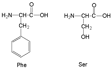 Provide a stepwise synthesis for the dipeptide Ser-Phe.  