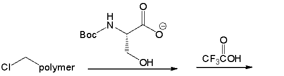 Which of the following is the correct sequence of the tetrapeptide that is formed by the following reaction sequence?       A)  Cys-Ala-Phe-Ser B)  Cys-Phe-Ala-Ser C)  Ser-Ala-Phe-Cys D)  Ser-Phe-Ala-Cys E)  none of these