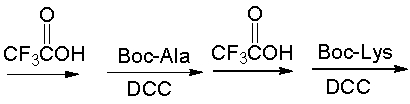Which of the following is the correct sequence for the pentapeptide that is formed by the following reaction sequence?       A)  Leu-Lys-Ala-Gly-Met B)  Met-Gly-Ala-Lys-Leu C)  Cys- Gly-Ala-Lys-Leu D)  Leu-Lys-Ala-Gly-Cys E)  none of these