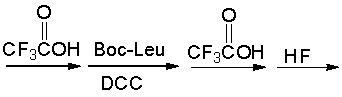 Which of the following is the correct sequence for the pentapeptide that is formed by the following reaction sequence?       A)  Leu-Lys-Ala-Gly-Met B)  Met-Gly-Ala-Lys-Leu C)  Cys- Gly-Ala-Lys-Leu D)  Leu-Lys-Ala-Gly-Cys E)  none of these