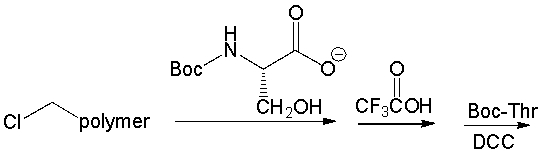 Which of the following is the correct sequence for the pentapeptide that is formed by the following reaction sequence?       A)  Ser-Thr-Pro-Lys-Leu B)  Leu-Lys-Pro-Thr-Ser C)  Thr-Thr- Pro-Lys-Leu D)  Leu-Lys-Pro-Thr-Thr E)  none of these