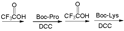 Which of the following is the correct sequence for the pentapeptide that is formed by the following reaction sequence?       A)  Ser-Thr-Pro-Lys-Leu B)  Leu-Lys-Pro-Thr-Ser C)  Thr-Thr- Pro-Lys-Leu D)  Leu-Lys-Pro-Thr-Thr E)  none of these
