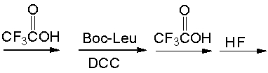 Which of the following is the correct sequence for the pentapeptide that is formed by the following reaction sequence?       A)  Ser-Thr-Pro-Lys-Leu B)  Leu-Lys-Pro-Thr-Ser C)  Thr-Thr- Pro-Lys-Leu D)  Leu-Lys-Pro-Thr-Thr E)  none of these