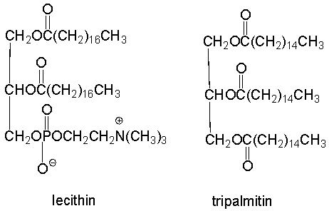 Which one of the following is a simple lipid?     A)  lecithin B)  tripalmitin C)  sodium lauryl sulfate D)  androsterone E)  carbohydrates
