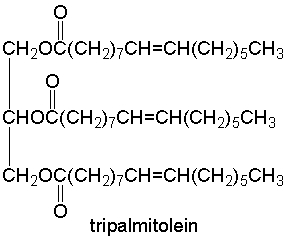 Which one of the following has the highest melting point?         A)  triolein B)  trilinolein C)  tripalmitolein D)  trimyrisitin