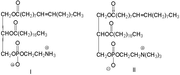 Which of the following is the structure of a cephalin that would produce one equivalent of oleic acid and one equivalent of stearic acid residues on hydrolysis?     A)  I B)  II C)  III D)  I and III E)  II and IV