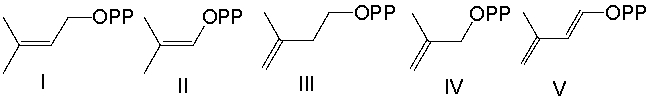 Which of the following are the building blocks of terpenes?   A)  I and III B)  II and III C)  I and IV D)  II and V E)  II and IV