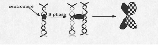 (a) (b)