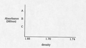 Assume that you grew a culture of E.coli for many generations in medium containing <sup>15</sup>N (from the ammonium ion),a heavy isotope of nitrogen.You extract DNA from a portion of the culture and determine its density to be 1.723 gm/cm³ (call this sampleA).You then wash the remaining E.coli cells and grow them for one generation in <sup>14</sup>N,extract the DNA from a portion of the culture,and determine its density to be 1.715 gm/cm³ (call this sampleB).You let the culture grow for one more generation in <sup>14</sup>N and extract the DNA (call this sampleC)Each sample of DNA (A,B,and C)is then heated to completely denature the double-stranded structures,cooled quickly (to keep the strands separate),and subjected to ultracentrifugation.Present the centrifugation profiles for heat-denatured DNA (samples A,B,andC)that you would expect.Use the graph below.(Note: Although not the case,assume that single-stranded DNA has the same density as double-stranded DNA.)   
