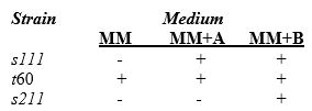 Below is a set of experimental results relating the growth (+)of Neurospora on several media (MM = minimal medium).Based on the information provided,present the biochemical pathway and the locations of the metabolic blocks.  <div style=padding-top: 35px> 