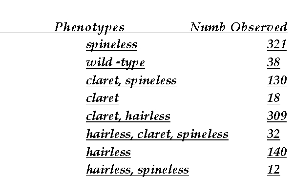 In the fruit fly, Drosophila melanogaster, a spineless (no wing bristles) female fly is mated to a male that is claret (dark eyes) and hairless (no thoracic bristles). Phenotypically wild -type F1 female progeny were mated to fully homozygous (mutant) males, and the following progeny (1000 total) were observed:    a() Which gene is in the middle? b() With respect to the three genes mentioned in the problem, what are the genotypes of the homozygous parents used in making the phenotypically wild -type F1 heterozygote? c() What are the map distances for the three genes? A correct formula with the values  plugged in  for each distance will be sufficient. d() What is the coefficient of coincidence? A correct formula with the values  plugged in  will be sufficient.