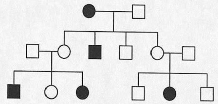 Below is a pedigree of a fairly common human hereditary trait; the boxes represent males and the circles represent females. Filled -in symbols indicate the abnormal phenotype. Given that one gene pair is involved,    a() Is the inheritance pattern X -linked or autosomal? b() Give the genotype of each individual in the pedigree. If more than one genotypic possibility exists, present all possible alternatives.