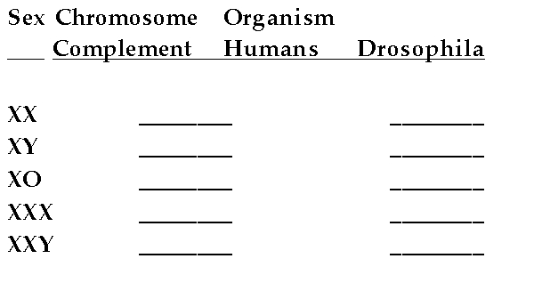 Give the sex of the following organisms assuming that the autosomes are present in the normal number.  <div style=padding-top: 35px> 