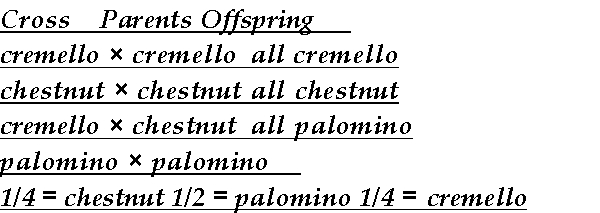 The following coat colors are determined by alleles at one locus in horses: palomino = golden coat with lighter mane and tail cremello = almost white chestnut = brown The following table gives ratios obtained in matings of the above varieties:    Assign gene symbols for the genetic control of coat color on the basis of these data. Diagram the last two matings.