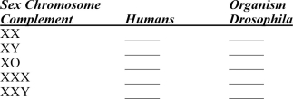 Give the sex of the following organisms assuming that the autosomes are present in the normal number.  <div style=padding-top: 35px> 