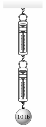 In the figure, a 10-lb weight is suspended from two spring scales, each of which has negligible weight. Which one of the following statements about the readings in the scales is true?   A)  Each scale will read 5 lb. B)  The top scale will read zero, the lower scale will read 10 lb. C)  The lower scale will read zero, the top scale will read 10 lb. D)  Each scale will show a reading between one and 10 lb, such that the sum of the two is 10 lb. However, exact readings cannot be determined without more information. E)  None of these is true.