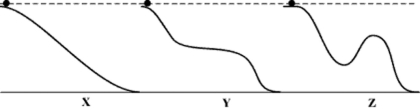 A stone can slide down one of four different frictionless ramps, as shown in the figure. For which ramp will the speed of the ball be the greatest at the bottom?   A)  Ramp X B)  Ramp Y C)  Ramp Z D)  The speed of the ball will be the same for all ramps.