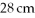 <strong>Calculate the pressure exerted on the ground due to the weight of person standing on one foot. if the bottom of the person's foot is wide and long.</strong> A) 2.1 × 10<sup>4</sup> Pa B) 2.2 × 10<sup>3</sup> Pa C) 4.8 × 10<sup>4</sup> Pa D) 5.3 × 10<sup>4</sup> Pa