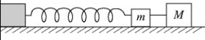 <strong>In the figure,two masses,M = 16 kg and m = 12.8.0 kg,are connected to a very light rigid bar and are attached to an ideal massless spring of spring constant 100 N/m.The system is set into oscillation with an amplitude of 78 cm.At the instant when the acceleration is at its maximum,the 16-kg mass separates from the 12.8.0-kg mass,which then remains attached to the spring and continues to oscillate.What will be the amplitude of oscillation of the 12.8.0-kg mass?  </strong> A)78 cm B)62 cm C)35 cm D)98 cm E)180 cm <div style=padding-top: 35px> 