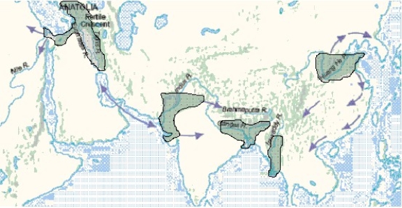   -The regions highlighted in the above map represent A)  Old World Hearth areas. B)  colonies of Roman Empire. C)  New World hearth areas. D)  areas targeted for new Starbucks franchises. E)  centers in the spread of the industrial revolution.