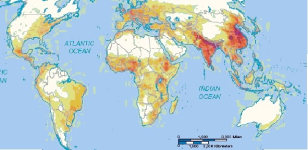   -If the darker shadings represent greater density,the above map best represents A)  population. B)  GDP per capita. C)  total GDP. D)  life expectancy. E)  nutritional density.