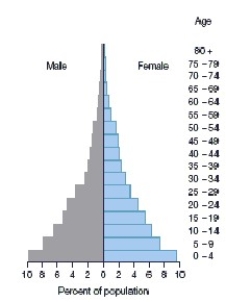   -The above population pyramid would most likely represent a(n) ________ country. A)  Sub-Saharan B)  West European C)  East European D)  North American E)  Island