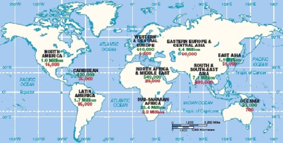   -The statistics on the above map represent people living with and dying from A)  HIV/AIDS. B)  famine. C)  war. D)  internal displacement. E)  diasporas.