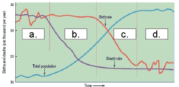   -According to some demographers,the high rates of natural increase in the world's periphery are because of countries that are stalled in which phase? A)  a. B)  b. C)  c. D)  d. E)  all of the above