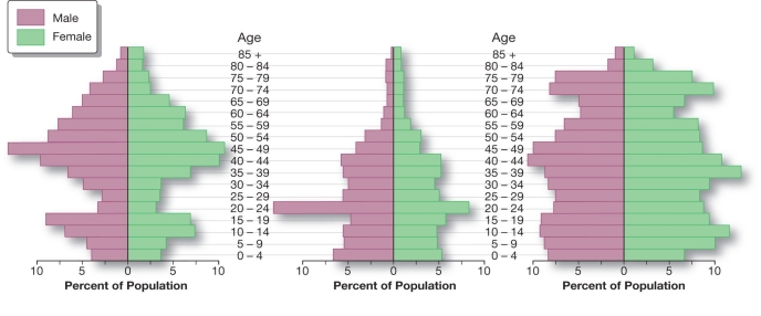   -Each of the three population pyramids (above) are census tracts from St.Louis county in northern Minnesota,that stretches from Duluth to Canada.The population pyramid on the left most likely represents A)  a rural population with high out-migration after high school. B)  an urban population with a high number of immigrant workers. C)  the part of the county with the University of Minnesota-Duluth in it. D)  a retirement community on the border with Canada. E)  The median census tract, where all the women are strong, the men are good-looking, and the children are above average.