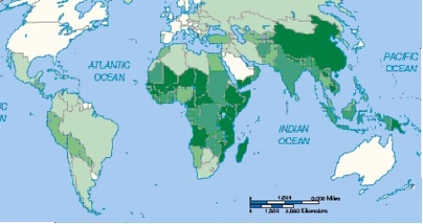   -The dark shadings in the above map show the distribution of ________ across the world. A)  primary economic activities B)  secondary economic activities C)  tertiary economic activities D)  localization economies E)  backwash effects