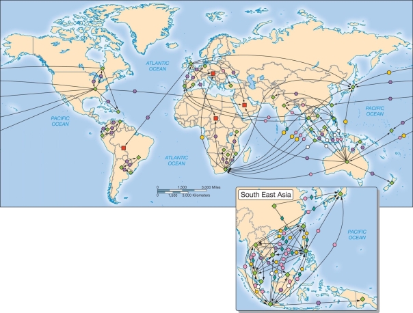   -The above map best characterizes A)  Toyota's global assembly line. B)  Wal-Mart's supply chain. C)  Benettons' flexible clothing production system. D)  the fair trade coffee network. E)  offshore financial centers.