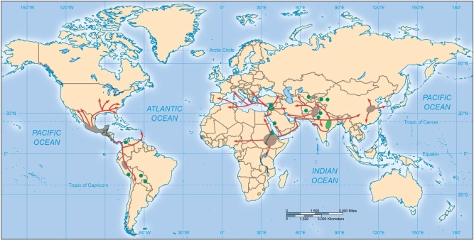   -The shaded areas and diffusion arrows on the above world map indicate the most prominent regions of the A)  First Agricultural Revolution. B)  Second Agricultural Revolution. C)  Third Agricultural Revolution. D)  Green Revolution. E)  Industrial Revolution.