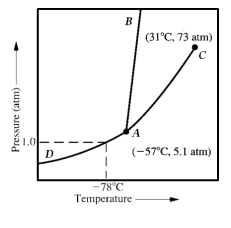 Given the accompanying phase diagram,under what conditions will liquid be found in equilibrium with either solid or gas?   A)  Anywhere along curve AB. B)  Anywhere along curve AC. C)  Anywhere along curve AD. D)  Anywhere along curve AB and AC. E)  Anywhere along curve AB and AD.