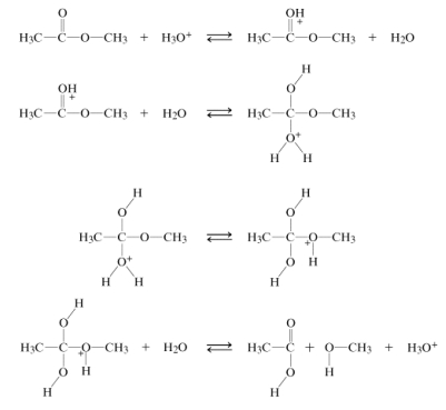 Circle the catalyst in the following mechanism.  