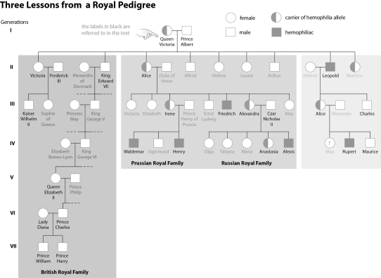 Refer to the figure below, and then answer the question that follows.    -The last members of the Russian Royal Family were executed during the Russian Revolution.Assume the revolution never took place and Alexis,son of Czar Nicholas II and Alexandra,survived and married into the British Royal Family.What is the probability that his children would have hemophilia? What is the probability his children would be carriers for hemophilia?