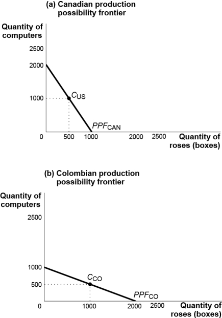 Use the following to answer questions: Figure: Comparative Advantage and the Production Possibility Frontier   -(Figure: Comparative Advantage and the Production Possibility Frontier) Use Figure: Comparative Advantage and the Production Possibility Frontier._____ has an absolute advantage in the production of _____ and a comparative advantage in the production of _____. A)  Canada;computers;roses B)  Colombia;computers;roses C)  Canada;computers;computers D)  Colombia;roses;computers