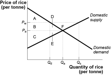 Use the following to answer questions: Figure: The Domestic Market for Rice   -Assume that an economy moves from autarky to free international trade.In the export sector,consumer surplus _____,producer surplus _____,and the economy as a whole _____. A)  rises;rises;gains B)  rises;falls;gains C)  falls;rises;gains D)  falls;rises;loses