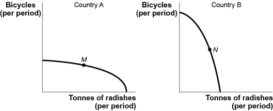 Use the following to answer questions: Figure: Bicycles and Radishes I   -(Figure: Bicycles and Radishes I) Use Figure: Bicycles and Radishes I.The figure shows the production possibility frontiers for two countries that produce only radishes and bicycles.The axes of the two graphs are measured in equivalent units.Country A is operating at point M,and country B is operating at point N.The opportunity cost of producing an additional tonne of radishes would be greater in: A)  country A. B)  country B. C)  neither;the opportunity cost would be the same in both countries. D)  There is not enough information to answer the question. 
