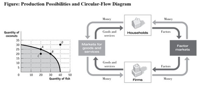Use the following to answer questions:   -(Figure: Production Possibilities and Circular-Flow Diagram) Use Figure: Production Possibilities and Circular-Flow Diagram.Assume the two figures represent the same economy.Suppose that in the circular-flow diagram there is a significant decrease in the amount of labour flowing to the firms that produce coconuts.If all other variables remain unchanged,this adjustment in the economy would be BEST represented in the production possibilities figure by a move from point A toward: A)  point A (no movement) . B)  point B (a decrease in coconut production and an increase in fish production) . C)  point C (a decrease in coconut production) . D)  point D (an outward shift of the entire curve) .