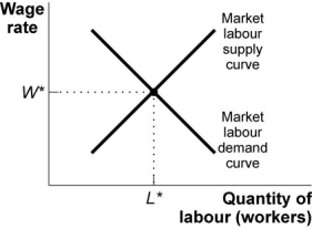Use the following to answer questions : Figure: Equilibrium in the Labour Market   -At Hamill Manufacturing of Alberta,highly skilled senior machinists are paid $70 000,excluding benefits,but the average-skilled machinist generates approximately $137 000 in value added.This difference is due to the fact that the: A)  marginal productivity theory of income distribution does not apply in this case. B)  value of the marginal product of the last machinist hired is less than the average of all machinists employed. C)  value of the marginal product of the last machinist hired is greater than the average of all machinists employed. D)  value of the marginal product of the last machinist hired is equal to the average of all machinists employed.