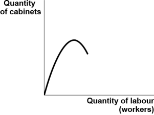 Use the following to answer question 44: Figure: The Unknown Curve   -(Figure: The Unknown Curve) Use Figure: The Unknown Curve.You are a cabinetmaker.You employ several workers to produce kitchen and bathroom cabinets.Your summer intern has drawn a graph showing a relationship between the number of cabinetmakers you employ and the number of cabinets produced.Unfortunately,your intern has failed to identify this curve.It is likely to be the _____ curve. A)  total cost B)  total product C)  marginal product D)  total variable cost